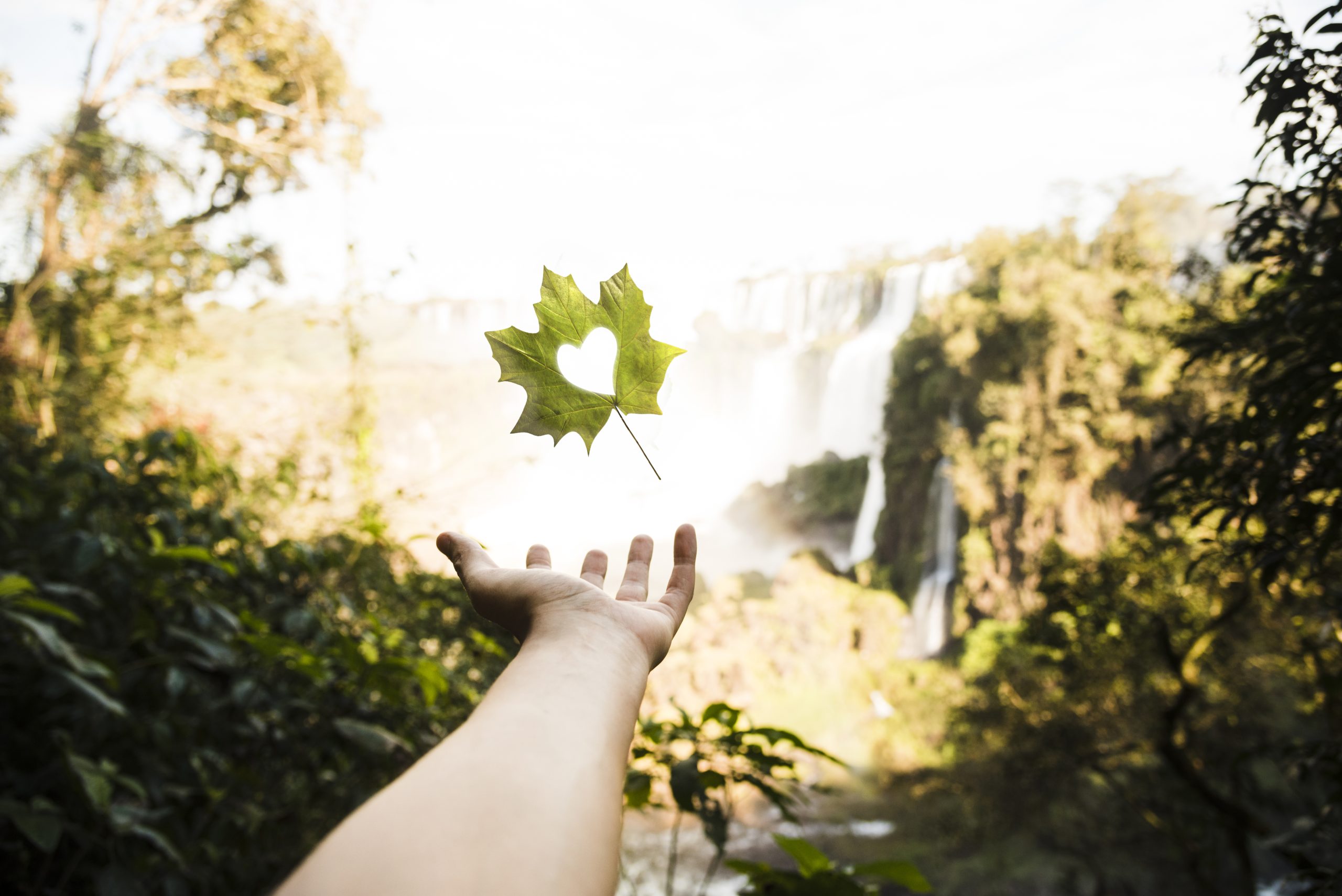 The Longevity Blueprint: 7 Rules for a Longer, Healthier, Happier Life