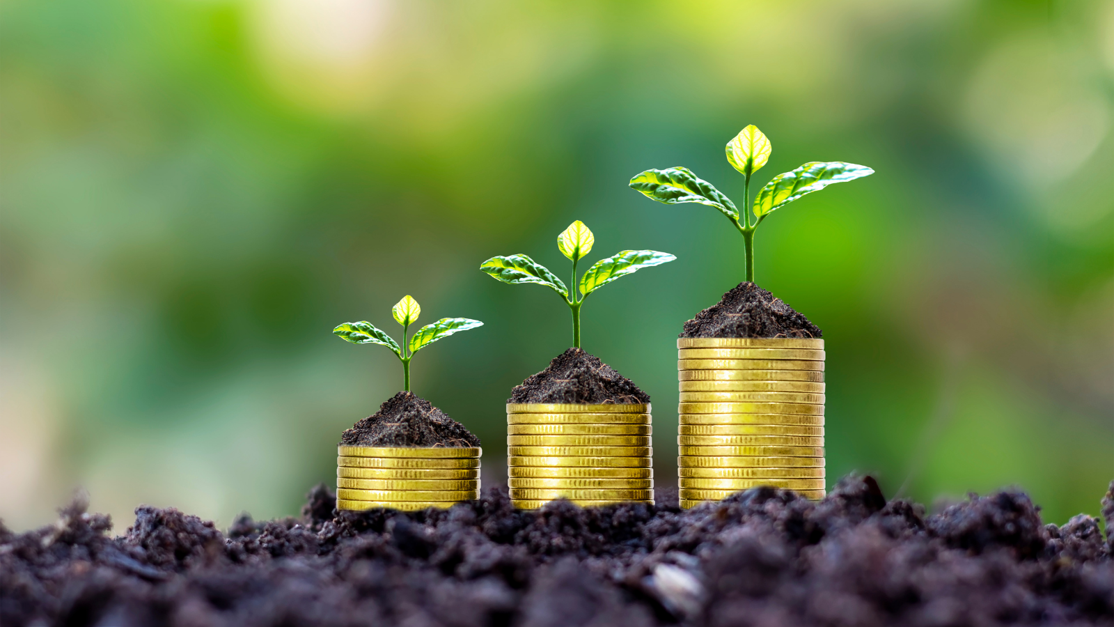 The Real Cost of Too Many Offers (And How It’s Secretly Killing Your Profit)
